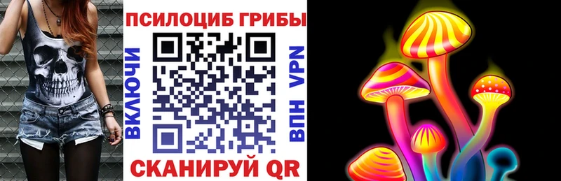 Псилоцибиновые грибы мицелий  блэк спрут ССЫЛКА  Нефтегорск  хочу наркоту 